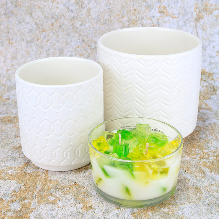 2-Wick Color Bowl Candle - CITRUS MELONMINT (3-PACK)